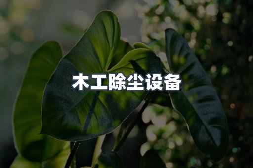 木工除尘设备
