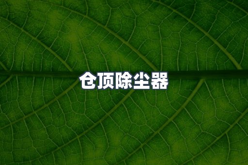 仓顶除尘器